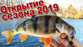 Окунь весной когда начинается активность