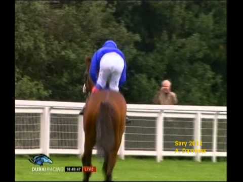 Rewilding - Prince of Wales's Stakes 2011