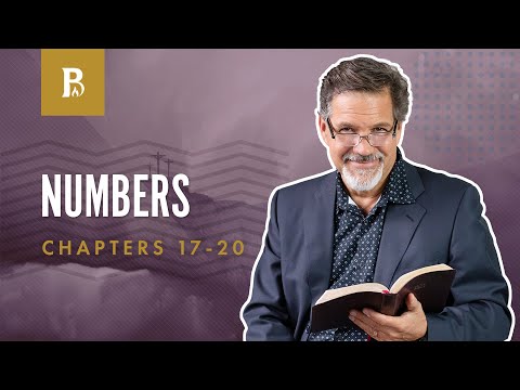 Do What God Says | Numbers 17-20