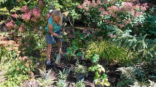 Fall is for filling in holes in the garden 🌿 Tucking in new plants
