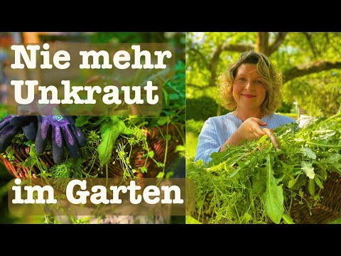 #92 🌱No more weeds in your garden? 🌱 Make gardening easier! Understand nature better