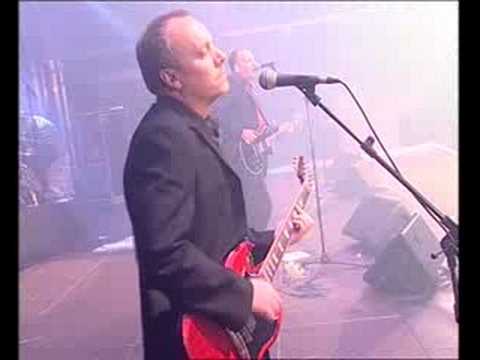 Viña Rock 2008 - Siniestro Total