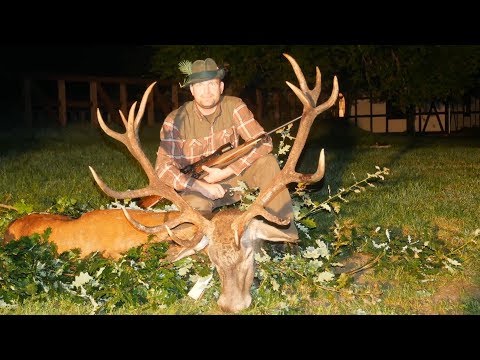 Erfolgreicher Auftakt in Wiatrolom - Jagd zur Hirschbrunft in Polen / Pommern