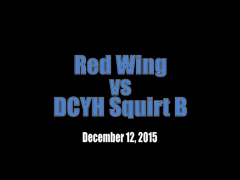 2015DEC12 Red Wing vs Squirt B