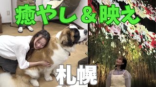 まりもえり