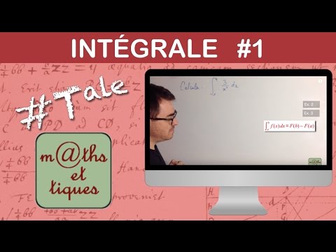 Calculate an integral (1) -Terminal