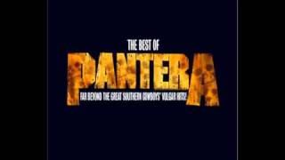 5 Minutes Alone- Pantera (Far Beyond Driven)