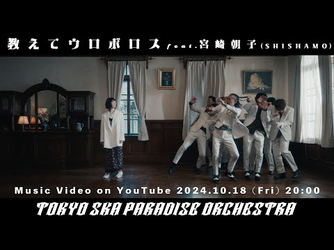 WhatsApp の新しい波のシンボル: これはその背後にある機能です