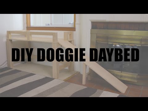 image-Is elevated bed good for dog?