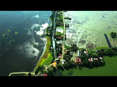 Royal Palms Resort | Kavalam | Alappuzha | Kerala