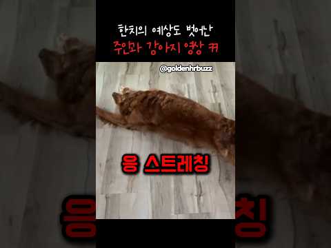 다음 장면 예측 전부 실패한 영상