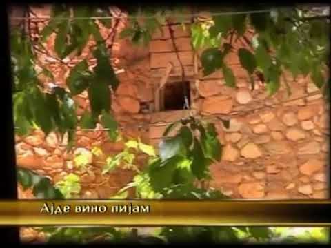 Ansambl Stefce Stojkovski Ajde vino pijam