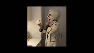 #klopapierchallenge accepted!