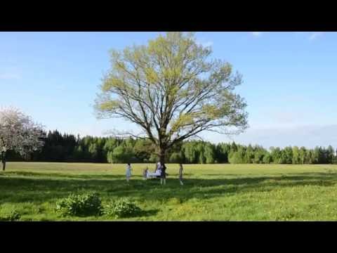 Trešīs Ņutona lykums - Mozuo Gūvs