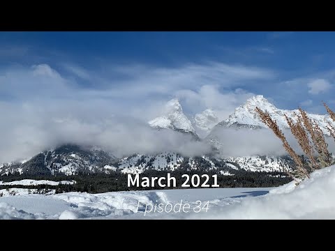 Wildlife Wednesday Monthly Round Up - March 2021