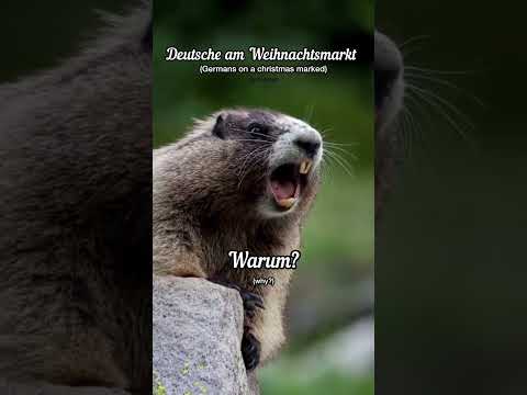 Deutsche auf dem Weihnachtsmarkt| Cossu | #shorts