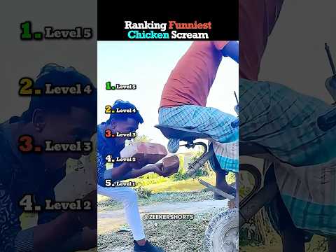 Ranking The Funniest Chicken Scream