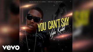 Vybz Kartel - You Can&#39;t Say (Official Audio)
