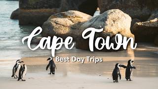 CAPE TOWN, SOUTH AFRICA (2026) | Best Day Trips From Cape Town