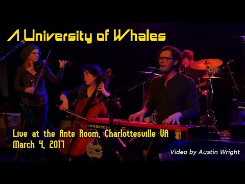 A University Of Whales - Live at the Ante Room, March 4, 2017