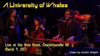 A University Of Whales - Live at the Ante Room, March 4, 2017