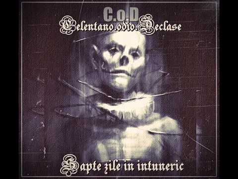 13. C.o.D - Buratino