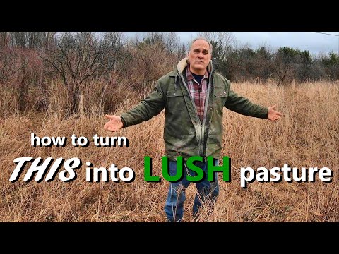 the complete guide to creating great pastures for your Dexter cattle