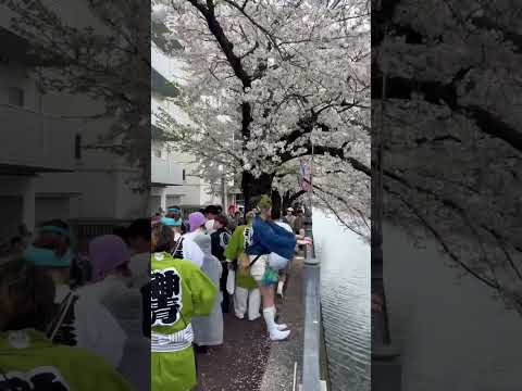比較文化学科 弘明寺商店街をご紹介！#shorts #弘明寺 #弘明寺商店街 #下町 #門前町 #桜まつり#大岡川 #桜 #弘明寺観音 #生ドーナツ