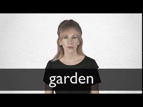 GARDEN Synonyms Collins English Thesaurus