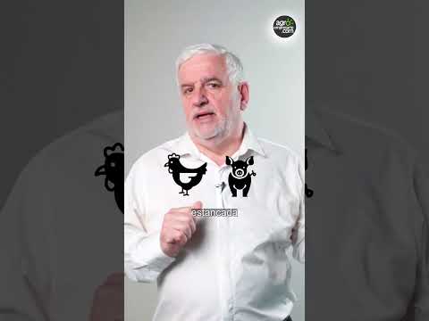 Evolución agrícola 1960-2024