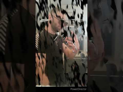 Debest x festerx ptaszek - k9 _#Out_clan