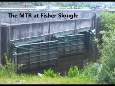 MTR vs VBFG animation