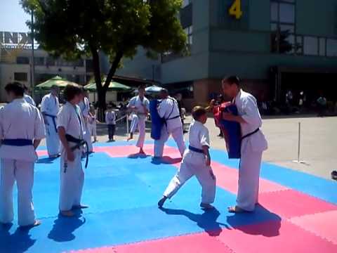 Branimir Berov - Shinkyokushinkai Karate Demonstration