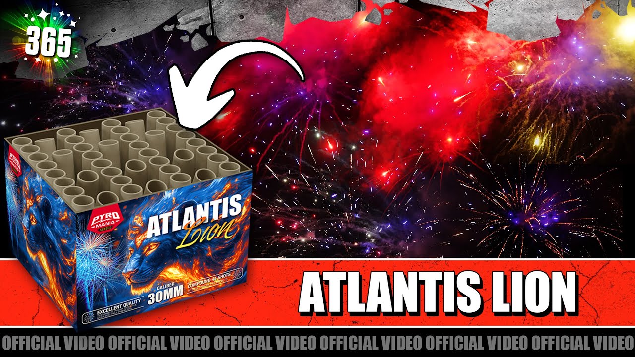Video Atlantis  Lion