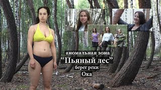 Отдых в шилово рязанской области