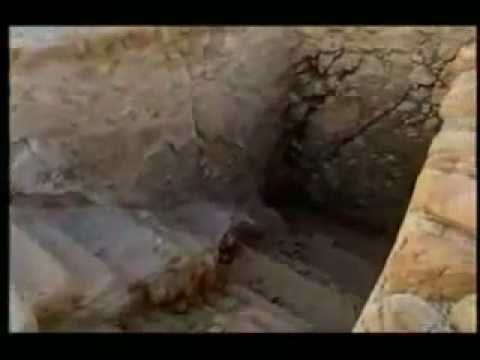 Rafeef Ziadah trying to steal Jewish History