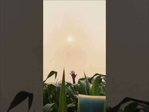 Nature's Calling: Embark on a Journey Into the Unknown | Ruhul Amin Emon 🇧🇩