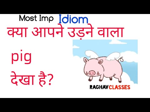When pigs fly | meaning and use By Raghav sir |
