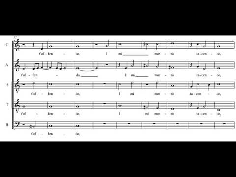 Sigismondo d'India: Cruda Amarilli - La Venexiana