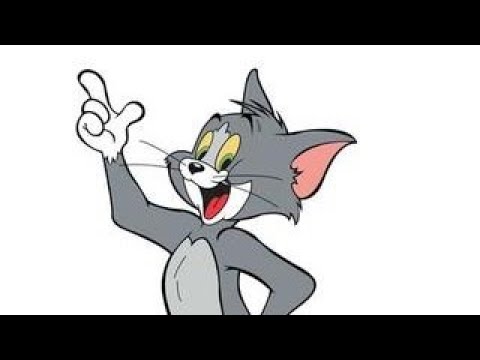 "KELVIN" The Cat Who Lost it all and Won Even More