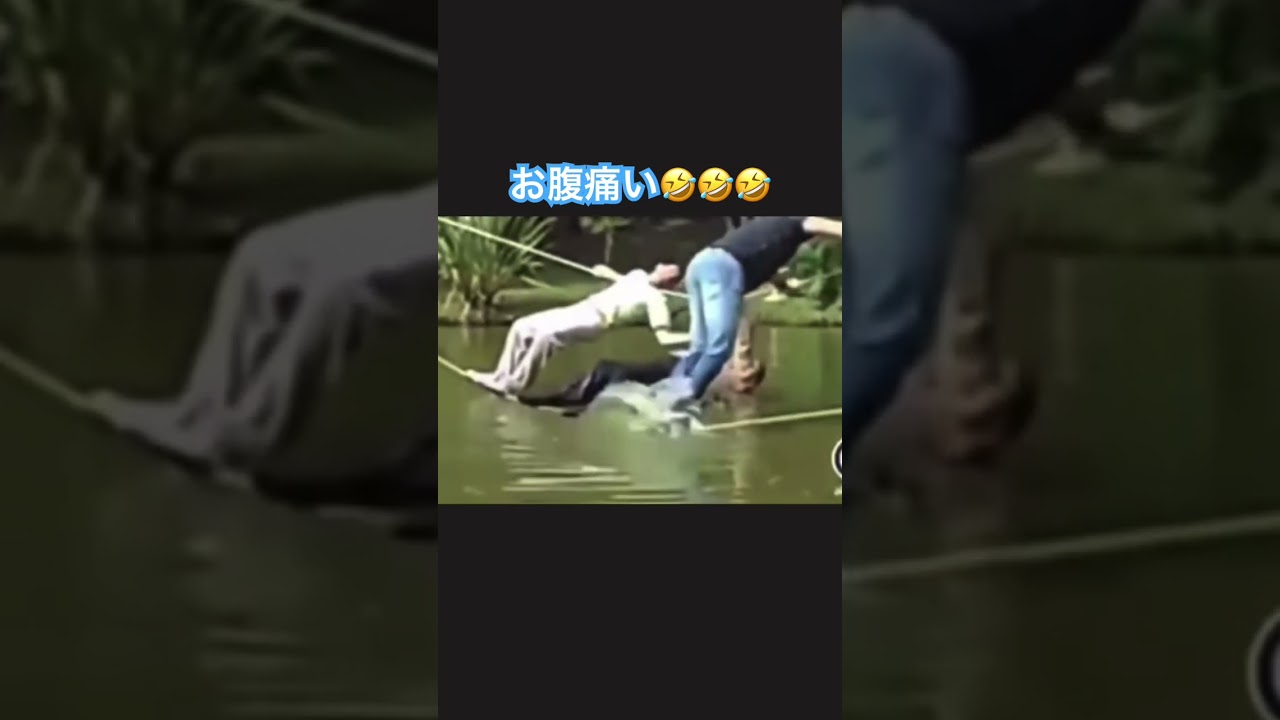 #笑える動画 お腹痛い🤣