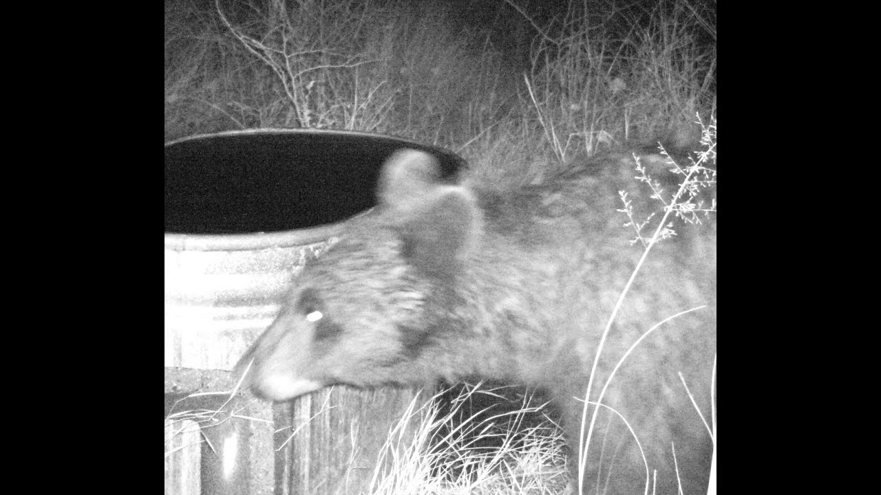 Water tank along the creek. Birding Chiricahua mountains south eastern Arizona.