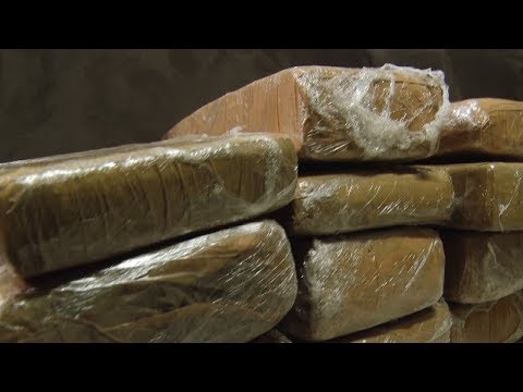 Casal que iria para Campinas é preso com 74 tijolos de maconha em Piracicaba