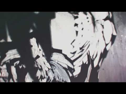 Boundary Run - Circles (Visualizer)