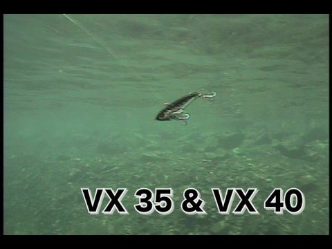 Цикады Ecogear VX