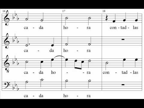 Guerrero - Prado verde y florido