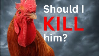 Should I kill my rooster for "over-mating" my hens?