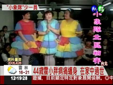 小象隊成員 霍小胖糖尿病過世