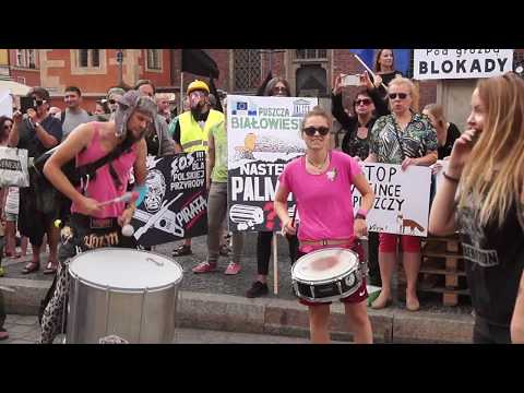 Wrocławianie dla Puszczy - demonstracja