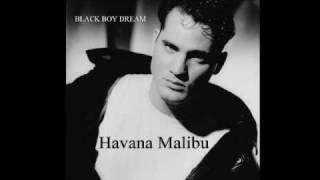 Black Boy Dream by Havana Malibu (Pop / Rock)